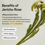 Jericho Rose Creme Nutrition Tube (75ml)