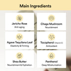 Jericho Rose Creme Nutrition Tube (75ml)