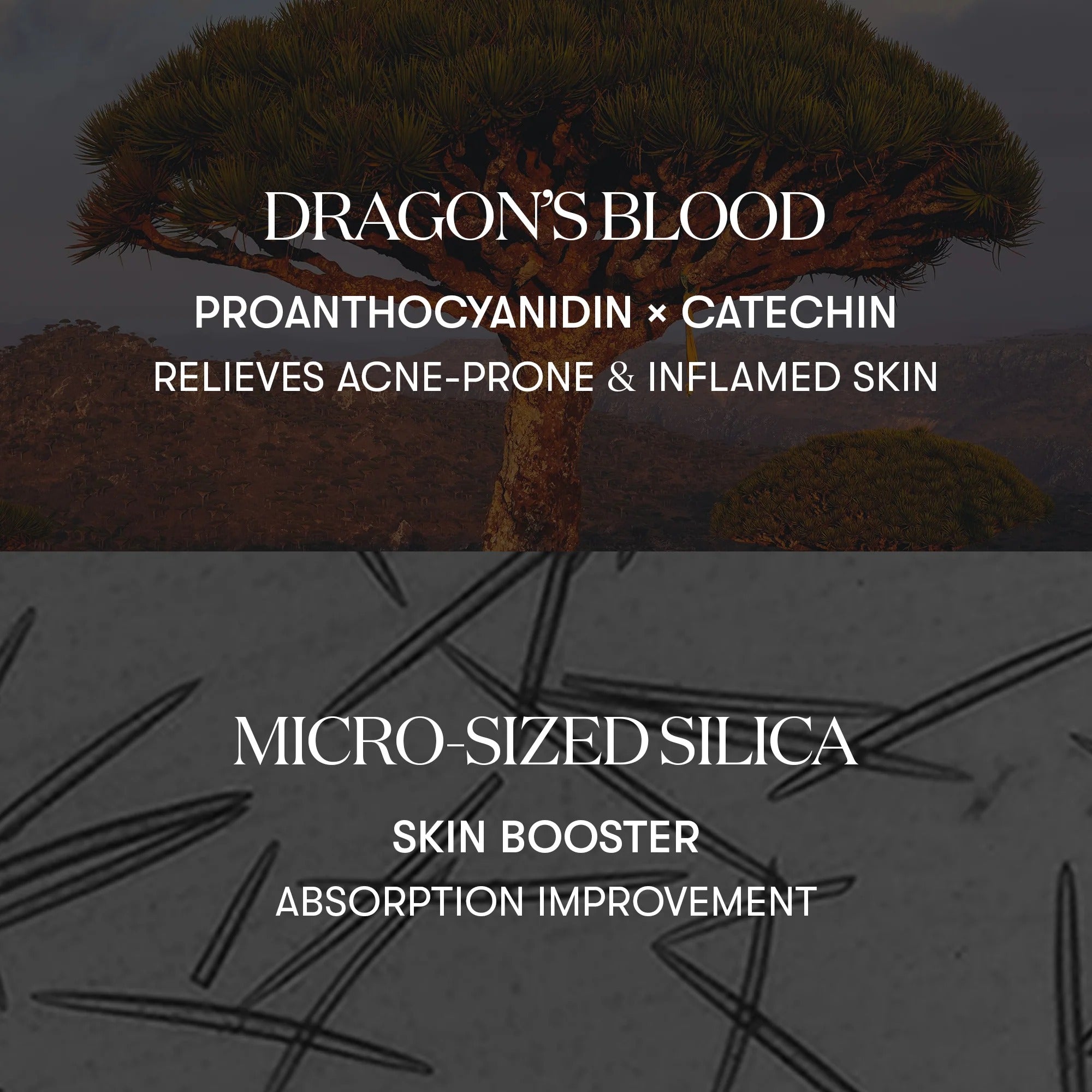 Red Booster Reedle Shot 100 (50ml)