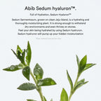 Sedum Hyaluron Creme Hydrating Pot (80ml)