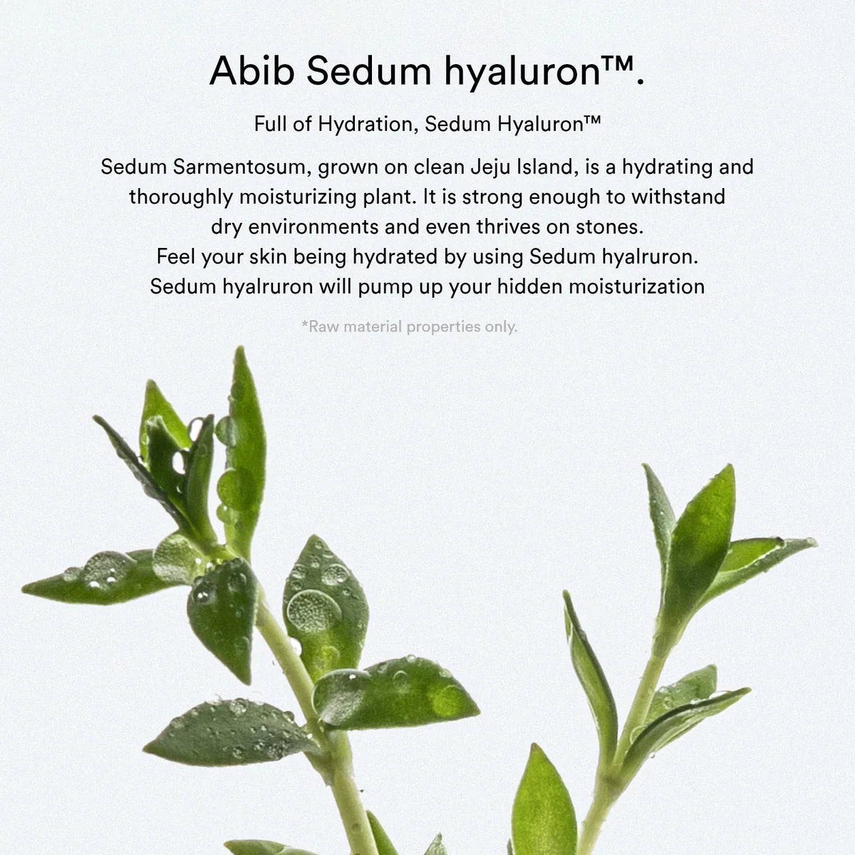 Sedum Hyaluron Creme Hydrating Pot (80ml)