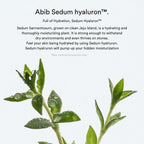 Sedum Hyaluron Pad Hydrating Touch (165ml)