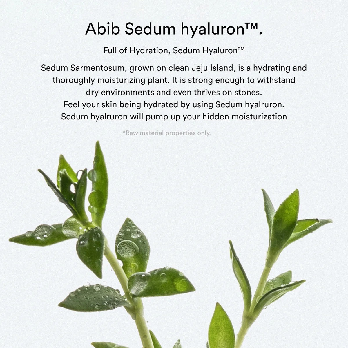 Sedum Hyaluron Pad Hydrating Touch (165ml)