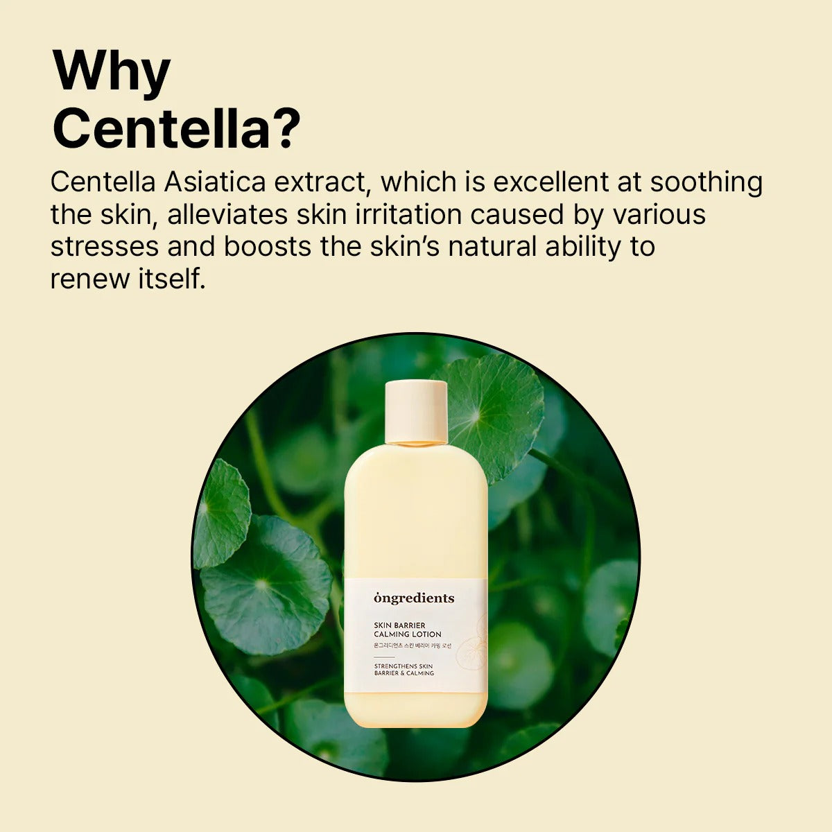 Skin Barrier Calming Lotion (220ml)