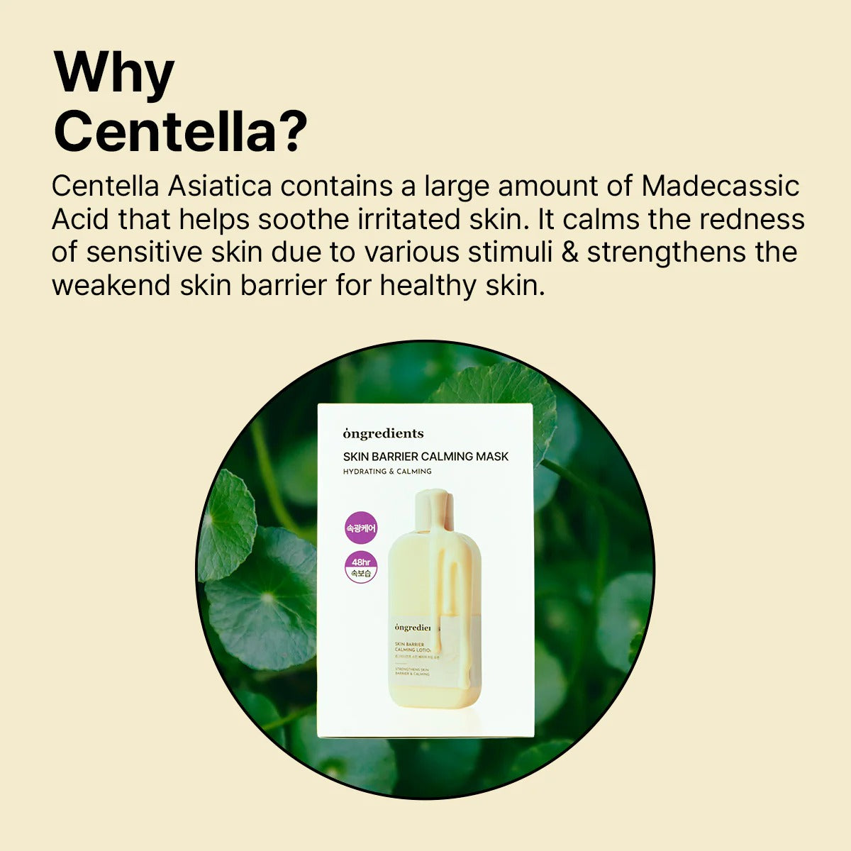Skin Barrier Calming Mask (6ea)