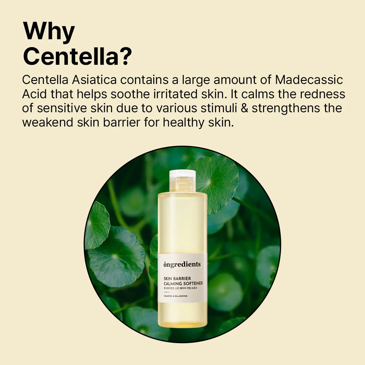 Skin Barrier Calming Softener (260ml)